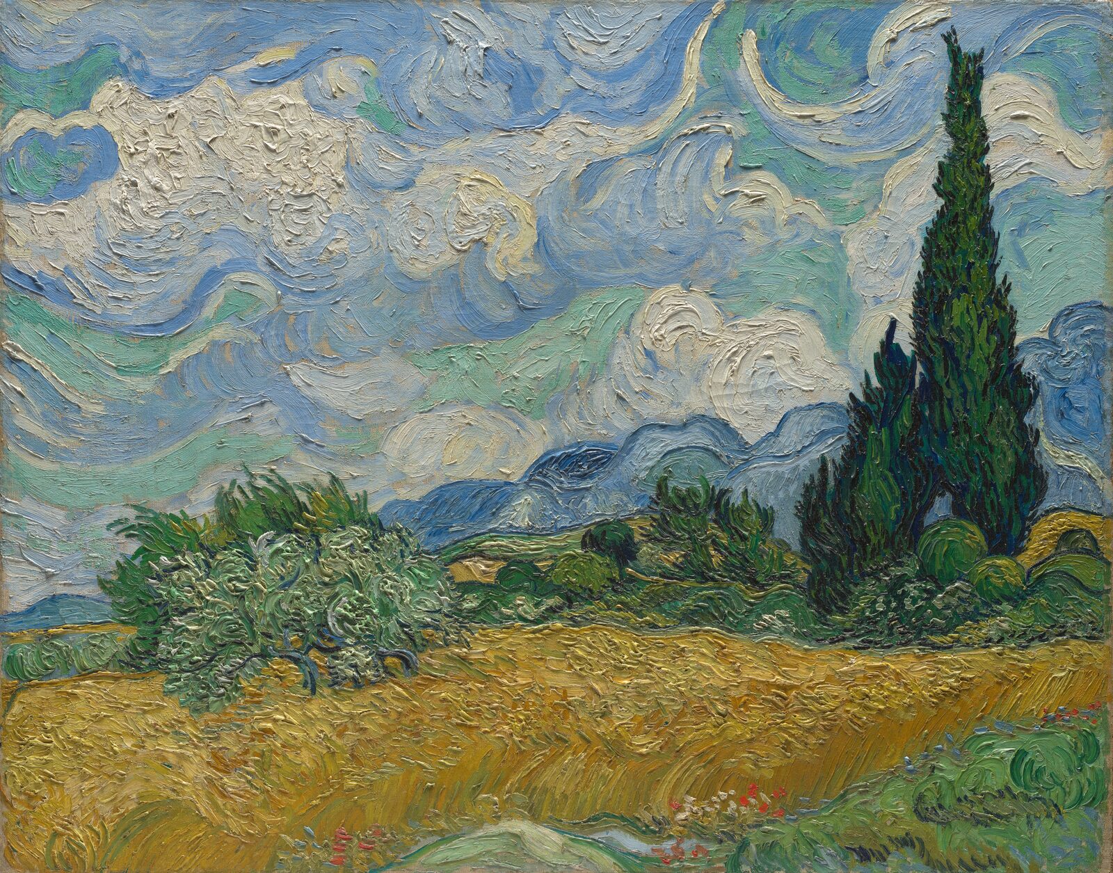 A yellow wheat field under swirling clouds, a dark cypress rising on the right