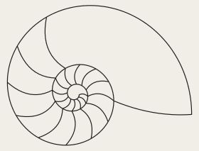 A nautilus shell in section, its chambers growing in